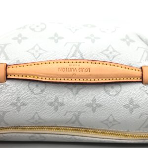Сумка на пояс Louis Vuitton Bumbag