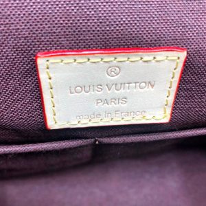 Сумка Louis Vuitton Cluny