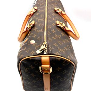 Сумка Louis Vuitton Keepall